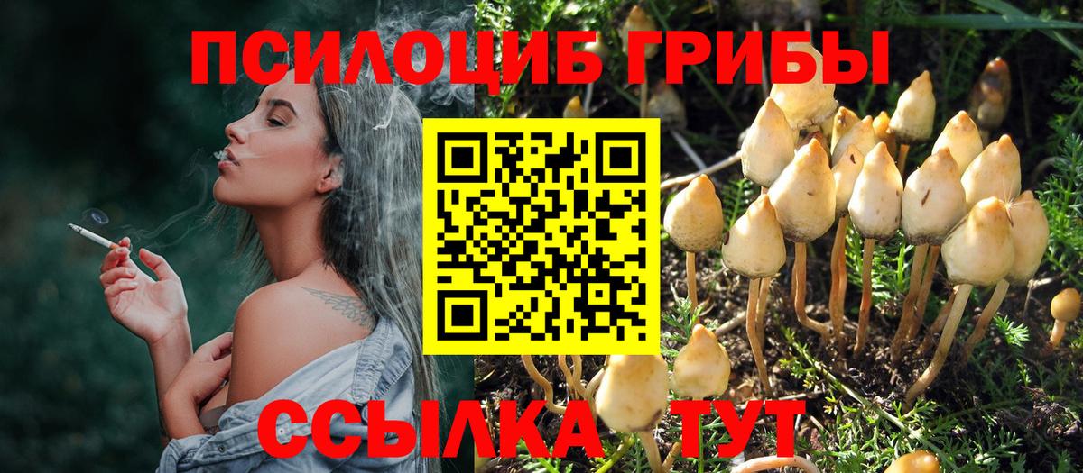 Галлюциногенные грибы GOLDEN TEACHER  купить  цена  Унеча  Вход с VPN 